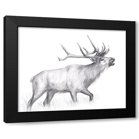 Wildlife Trail II Black Modern Wood Framed Art Print by Wang, Melissa