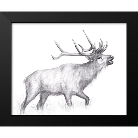 Wildlife Trail II Black Modern Wood Framed Art Print by Wang, Melissa