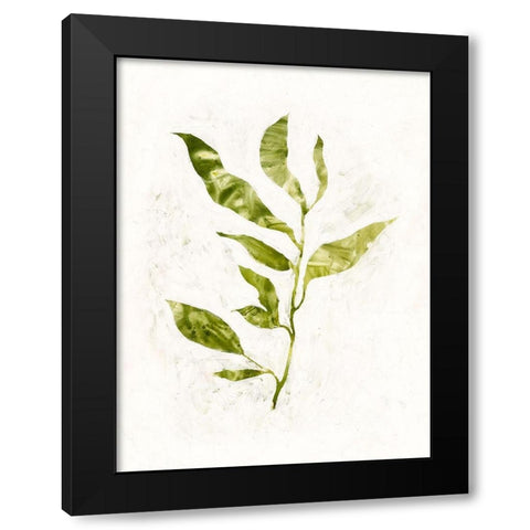 Sapling I Black Modern Wood Framed Art Print by Borges, Victoria