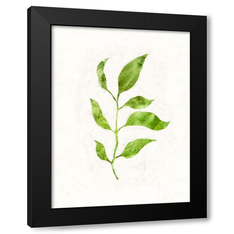 Sapling II Black Modern Wood Framed Art Print with Double Matting by Borges, Victoria