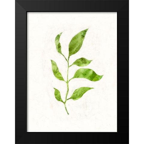 Sapling II Black Modern Wood Framed Art Print by Borges, Victoria