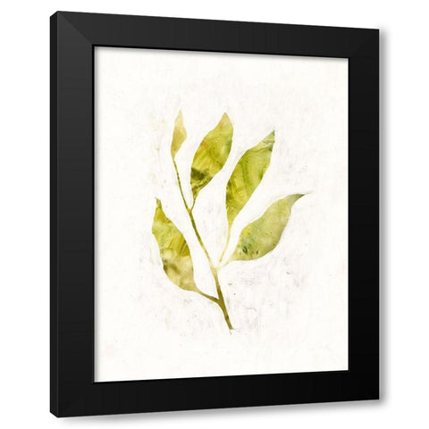Sapling IV Black Modern Wood Framed Art Print by Borges, Victoria