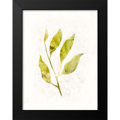 Sapling IV Black Modern Wood Framed Art Print by Borges, Victoria