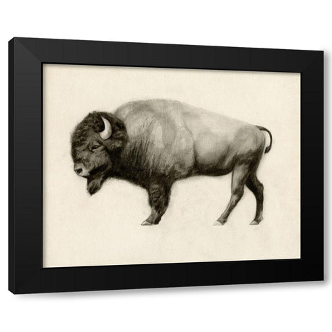 High Plains II Black Modern Wood Framed Art Print with Double Matting by Borges, Victoria