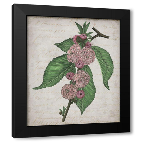 Floral Memory I Black Modern Wood Framed Art Print with Double Matting by Wang, Melissa