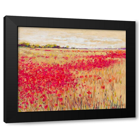 Poppies Evening Light I Black Modern Wood Framed Art Print with Double Matting by Gardner, Jennifer