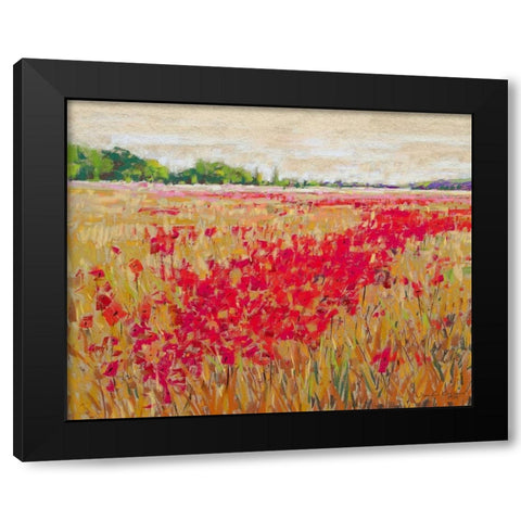 Poppies Evening Light II Black Modern Wood Framed Art Print by Gardner, Jennifer