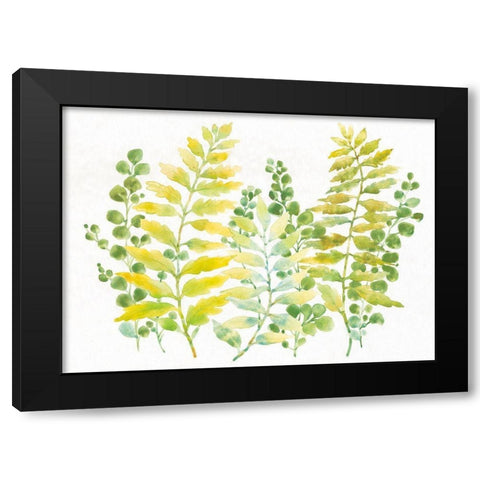 Mixed Greenery I Black Modern Wood Framed Art Print with Double Matting by OToole, Tim