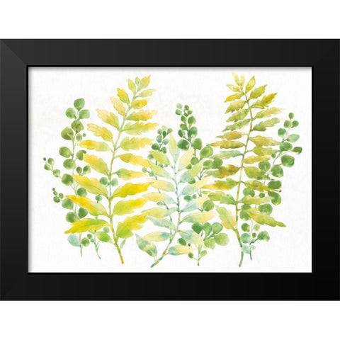 Mixed Greenery I Black Modern Wood Framed Art Print by OToole, Tim