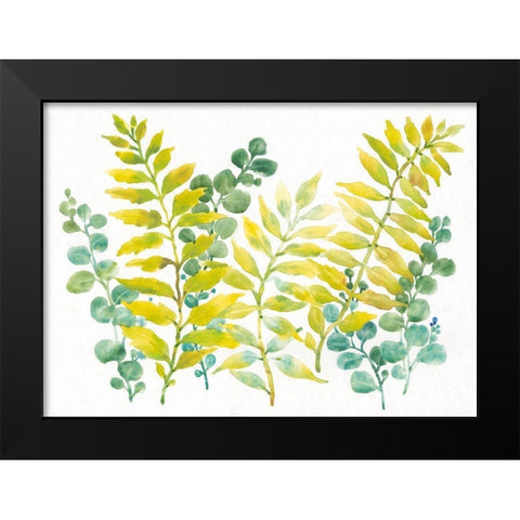 Mixed Greenery II Black Modern Wood Framed Art Print by OToole, Tim