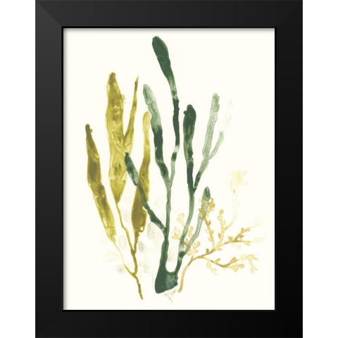 Kelp Collection I Black Modern Wood Framed Art Print by Vess, June Erica