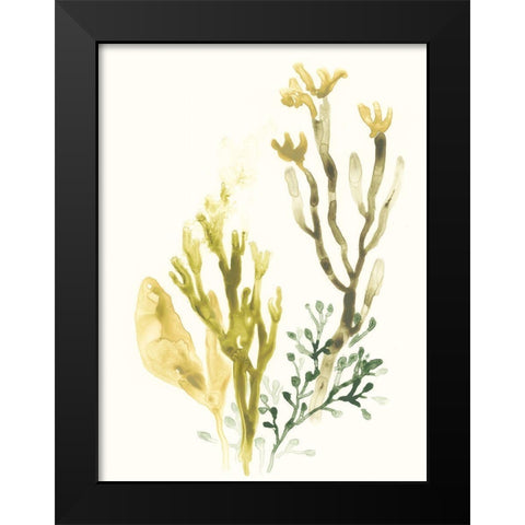 Kelp Collection II Black Modern Wood Framed Art Print by Vess, June Erica
