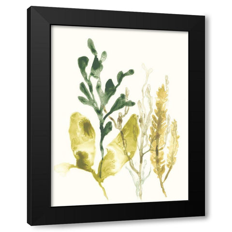 Kelp Collection III Black Modern Wood Framed Art Print with Double Matting by Vess, June Erica