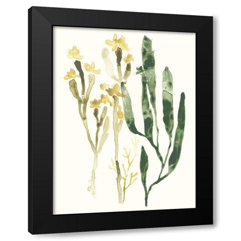 Kelp Collection IV Black Modern Wood Framed Art Print with Double Matting by Vess, June Erica