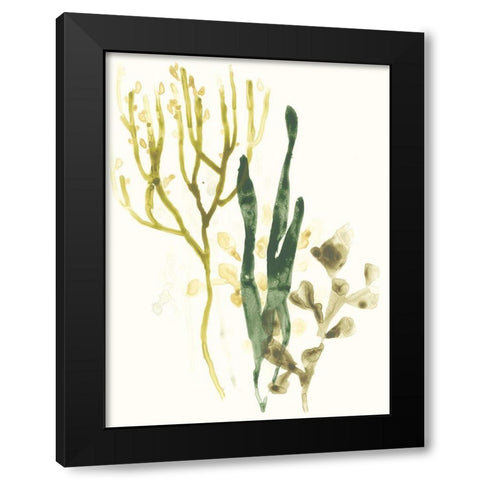 Kelp Collection V Black Modern Wood Framed Art Print by Vess, June Erica