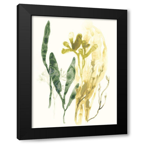 Kelp Collection VI Black Modern Wood Framed Art Print with Double Matting by Vess, June Erica