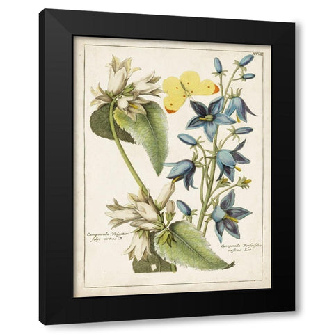 Botanical Bouquet I Black Modern Wood Framed Art Print by Unknown