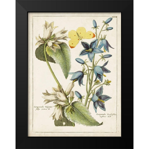 Botanical Bouquet I Black Modern Wood Framed Art Print by Unknown