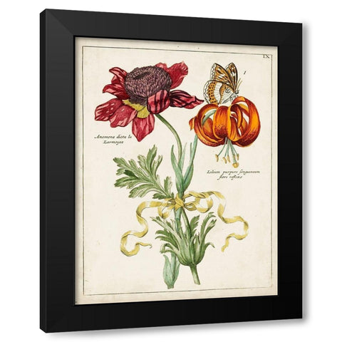 Botanical Bouquet II Black Modern Wood Framed Art Print by Unknown