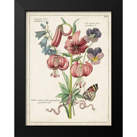 Botanical Bouquet III Black Modern Wood Framed Art Print by Unknown