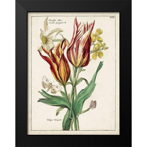 Botanical Bouquet IV Black Modern Wood Framed Art Print by Unknown