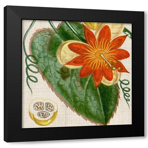 Cropped Turpin Tropicals I Black Modern Wood Framed Art Print with Double Matting by Vision Studio
