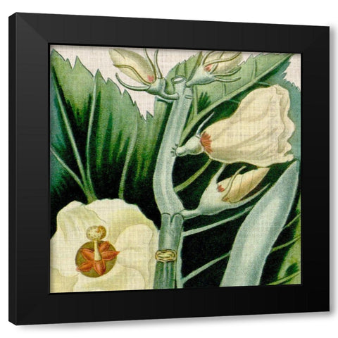 Cropped Turpin Tropicals III Black Modern Wood Framed Art Print with Double Matting by Vision Studio