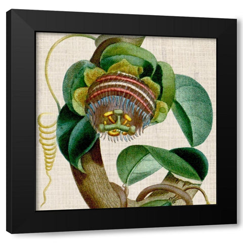 Cropped Turpin Tropicals IV Black Modern Wood Framed Art Print with Double Matting by Vision Studio