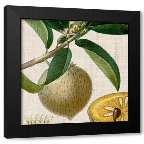 Cropped Turpin Tropicals V Black Modern Wood Framed Art Print with Double Matting by Vision Studio