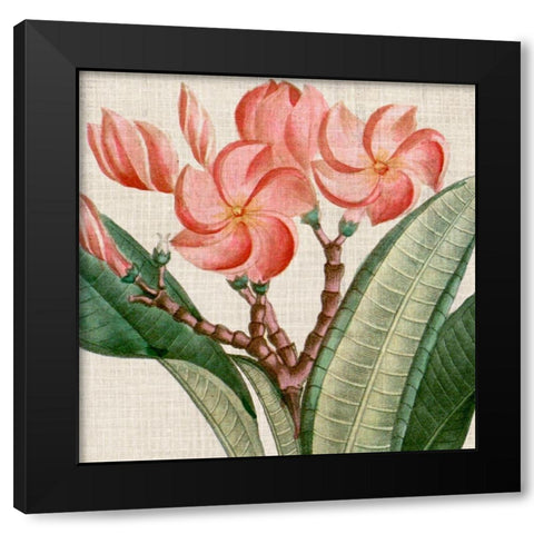 Cropped Turpin Tropicals VII Black Modern Wood Framed Art Print by Vision Studio