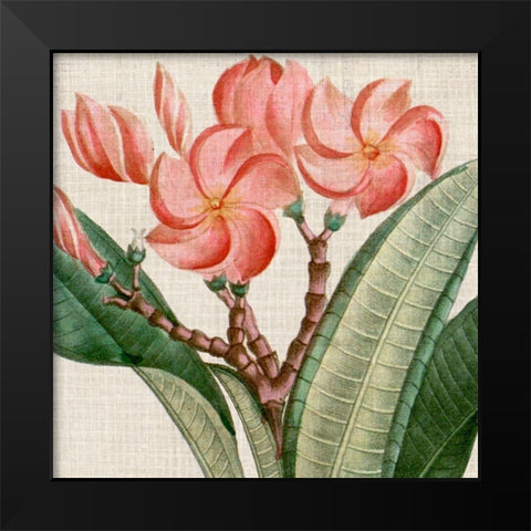 Cropped Turpin Tropicals VII Black Modern Wood Framed Art Print by Vision Studio