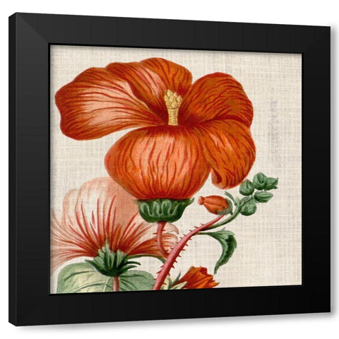 Cropped Turpin Tropicals VIII Black Modern Wood Framed Art Print with Double Matting by Vision Studio