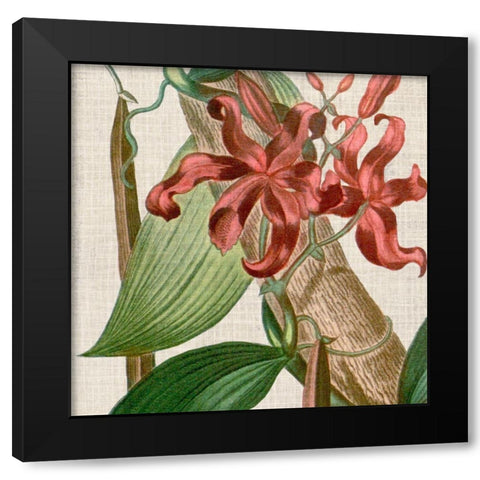 Cropped Turpin Tropicals IX Black Modern Wood Framed Art Print with Double Matting by Vision Studio