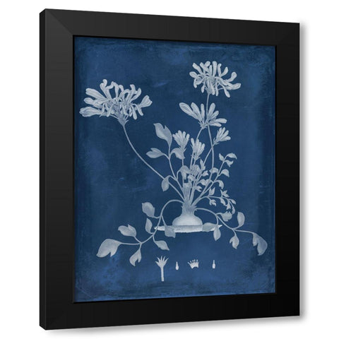 Botanical in Indigo II Black Modern Wood Framed Art Print with Double Matting by Vision Studio