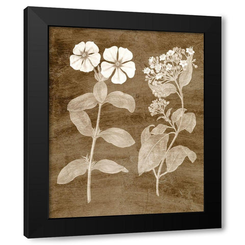 Botanical in Taupe IV Black Modern Wood Framed Art Print by Vision Studio