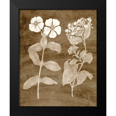 Botanical in Taupe IV Black Modern Wood Framed Art Print by Vision Studio