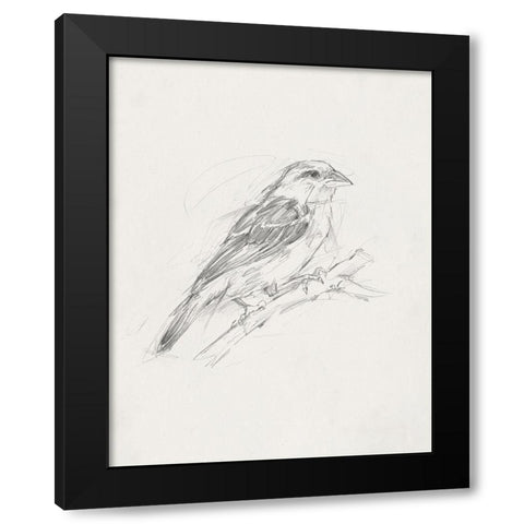 Avian StudyÂ  II Black Modern Wood Framed Art Print with Double Matting by Ethan Harper