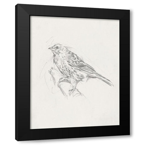 Avian StudyÂ  III Black Modern Wood Framed Art Print by Ethan Harper