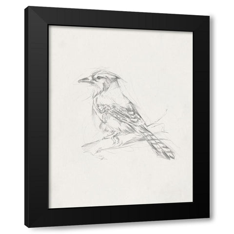 Avian StudyÂ  IV Black Modern Wood Framed Art Print by Ethan Harper