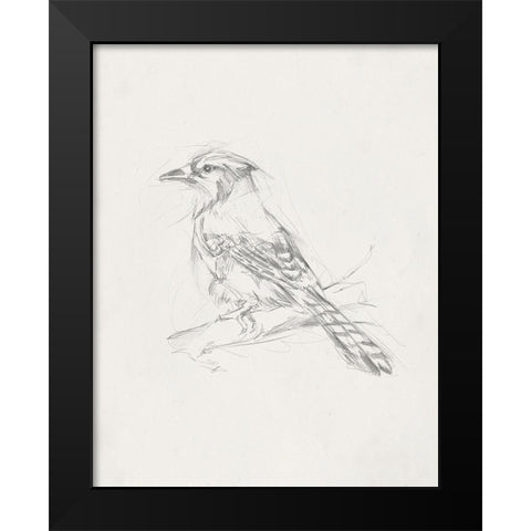 Avian StudyÂ  IV Black Modern Wood Framed Art Print by Ethan Harper