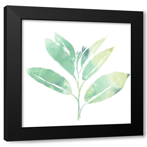 Prisma Tropical II Black Modern Wood Framed Art Print with Double Matting by Vess, June Erica