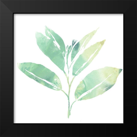 Prisma Tropical II Black Modern Wood Framed Art Print by Vess, June Erica