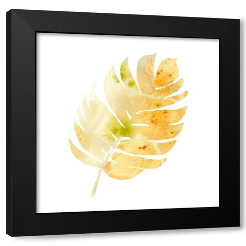 Prisma Tropical III Black Modern Wood Framed Art Print with Double Matting by Vess, June Erica