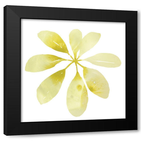 Prisma Tropical V Black Modern Wood Framed Art Print with Double Matting by Vess, June Erica
