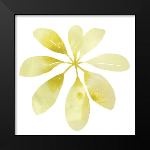 Prisma Tropical V Black Modern Wood Framed Art Print by Vess, June Erica