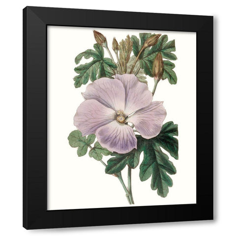 Lavender Beauties I Black Modern Wood Framed Art Print with Double Matting by Edwards