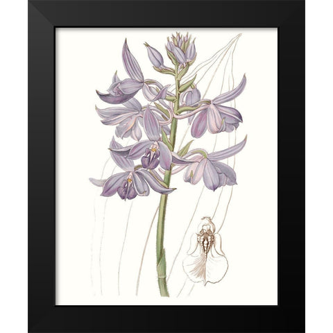 Lavender Beauties III Black Modern Wood Framed Art Print by Edwards