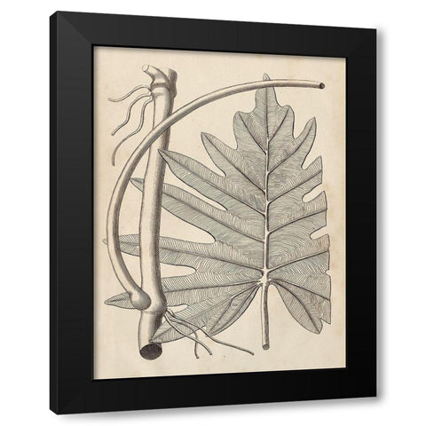 Distinctive Leaves I Black Modern Wood Framed Art Print by Vision Studio