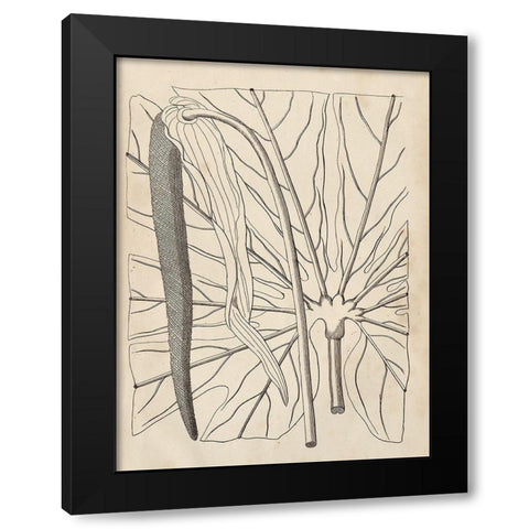Distinctive Leaves IV Black Modern Wood Framed Art Print with Double Matting by Vision Studio