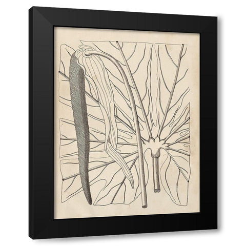 Distinctive Leaves IV Black Modern Wood Framed Art Print by Vision Studio